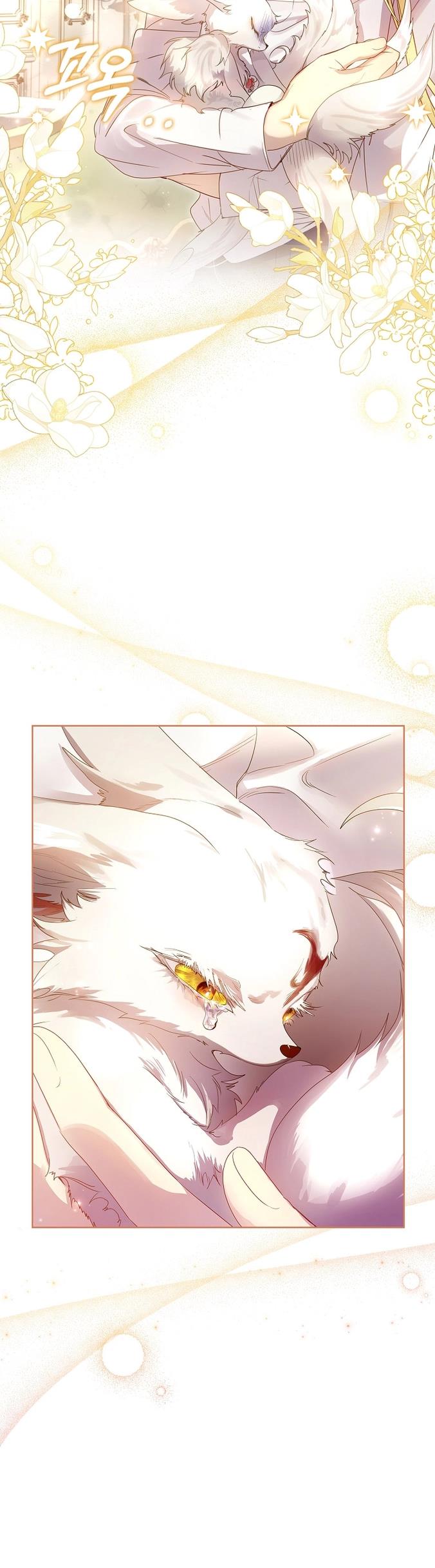 I Raised A Nine Tailed Fox Wrongly - Chapter 5