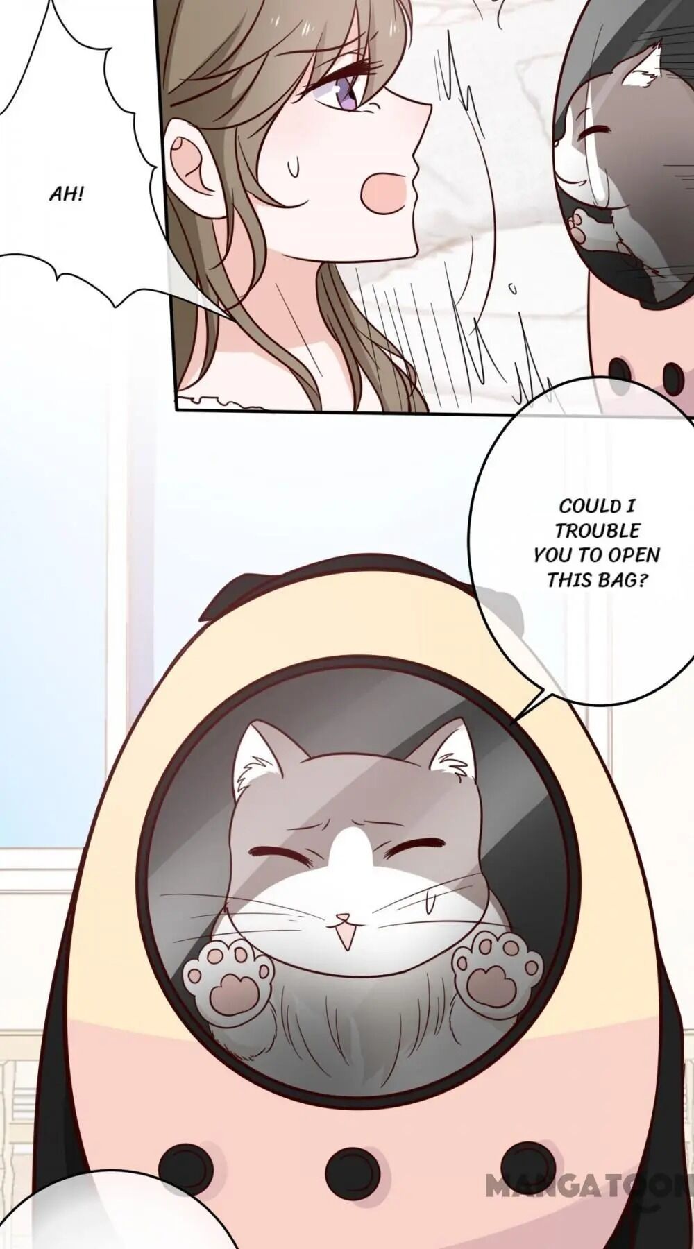 12 Evil Cats - Chapter 47