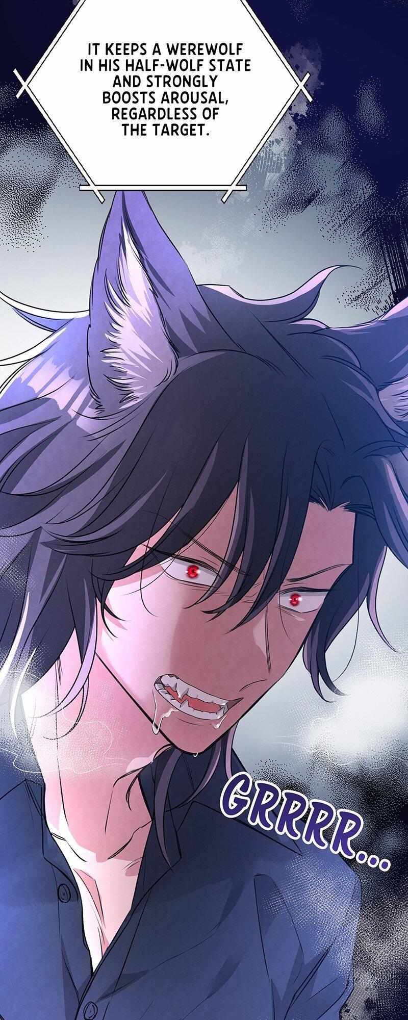 I'm Not Afraid Of Wolves! - Chapter 15