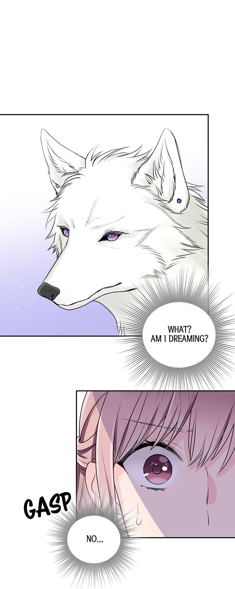 I'm Not Afraid Of Wolves! - Chapter 5