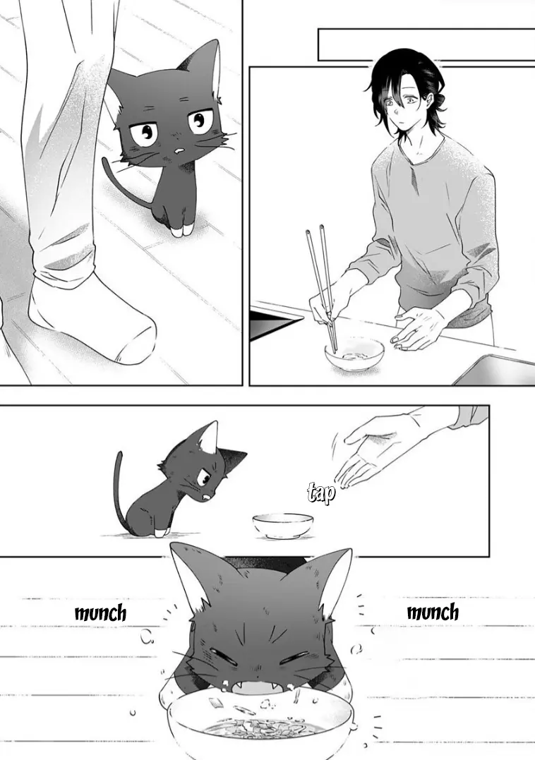 My Kitten Is A Picky Eater. - Vol.1 Chapter 3