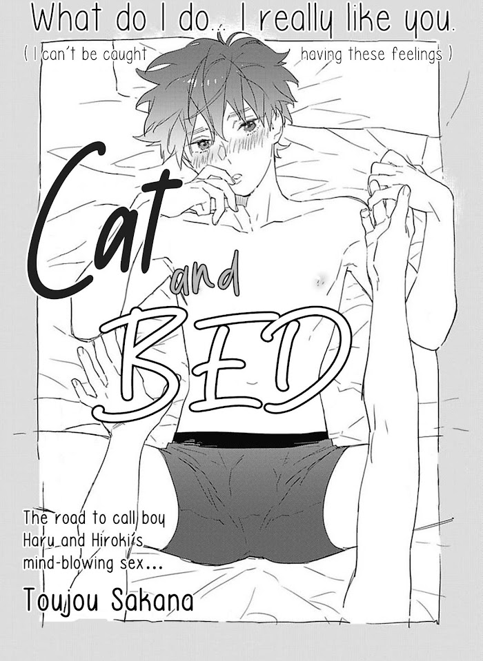 Cat And Bed - Chapter 4