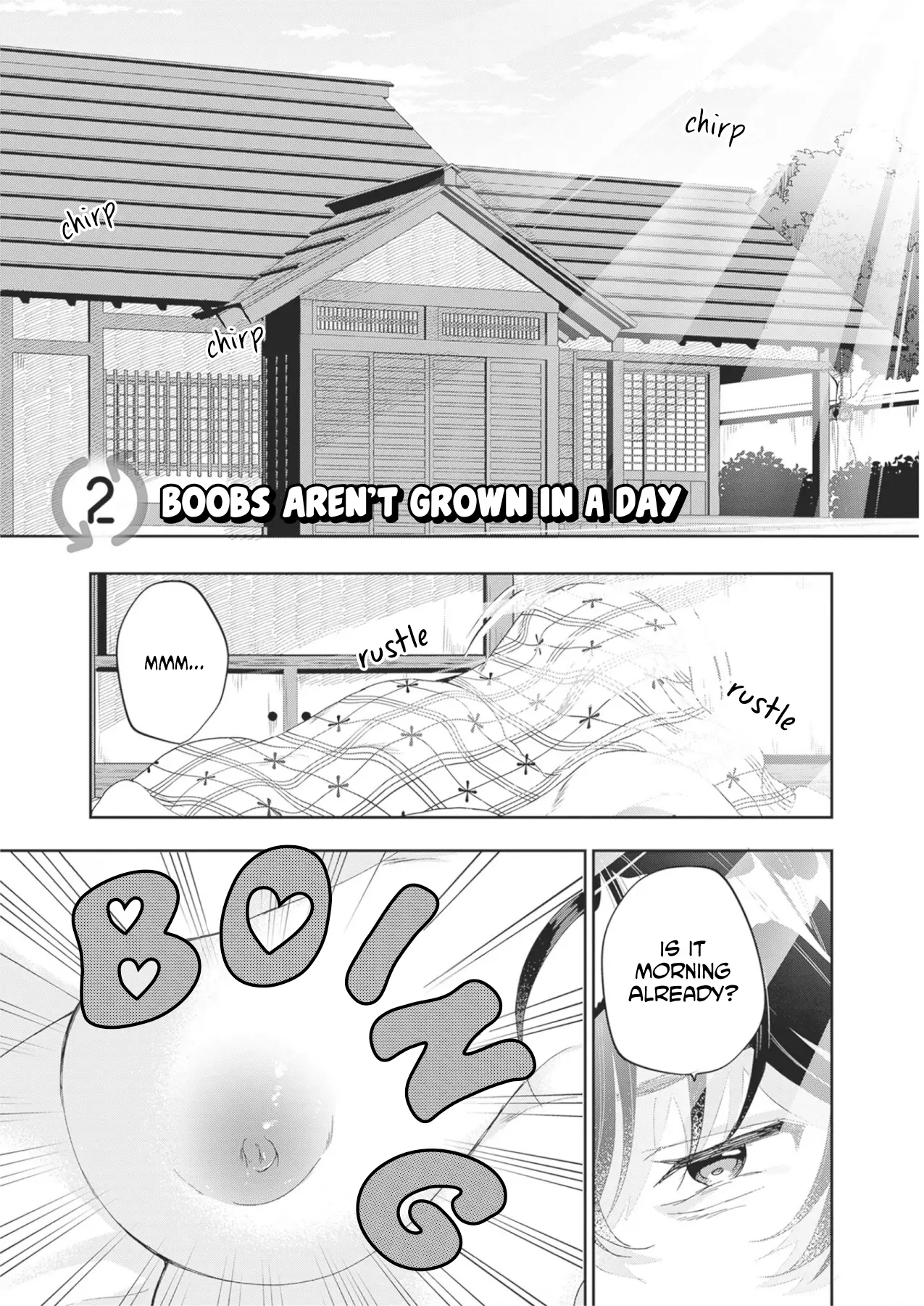 Hikaru To Hikaru - Vol.1 Chapter 2: Boobs Aren't Grown In A Day