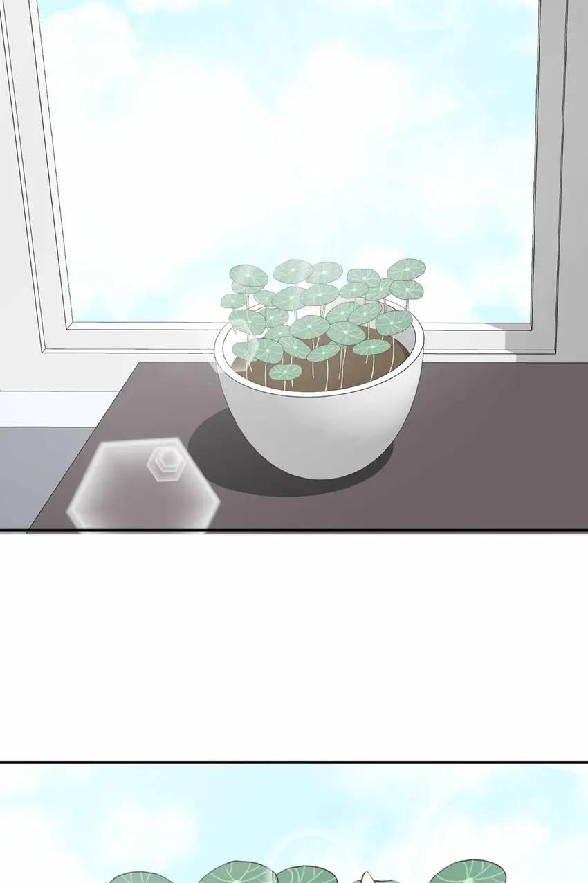 My Cactus Boyfriend - Chapter 58