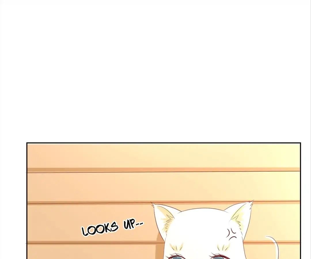 Popular Deskmate Is A Cat - Chapter 104