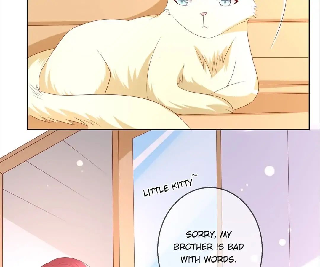 Popular Deskmate Is A Cat - Chapter 104