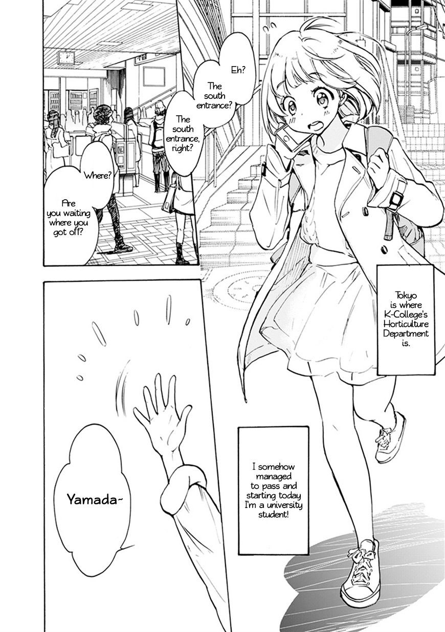 Asagao To Kase-San. - Chapter 22 : Cherry Blossoms And Kase-San (Part 1)