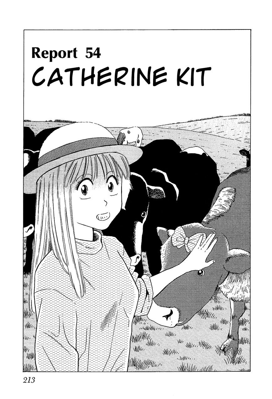 Okama Report - Vol.2 Chapter 54 : Catherine Kit