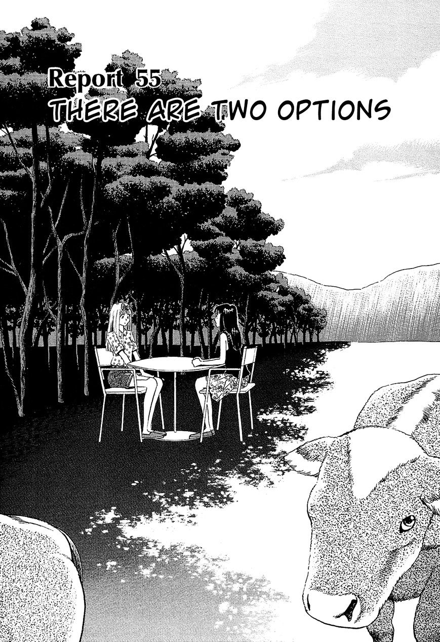 Okama Report - Vol.2 Chapter 55 : There Are Two Options