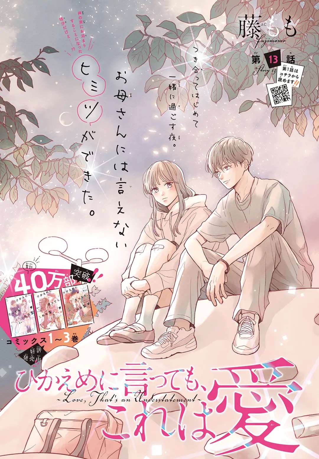 Hikaeme Ni Itte Mo, Kore Wa Ai - Chapter 13