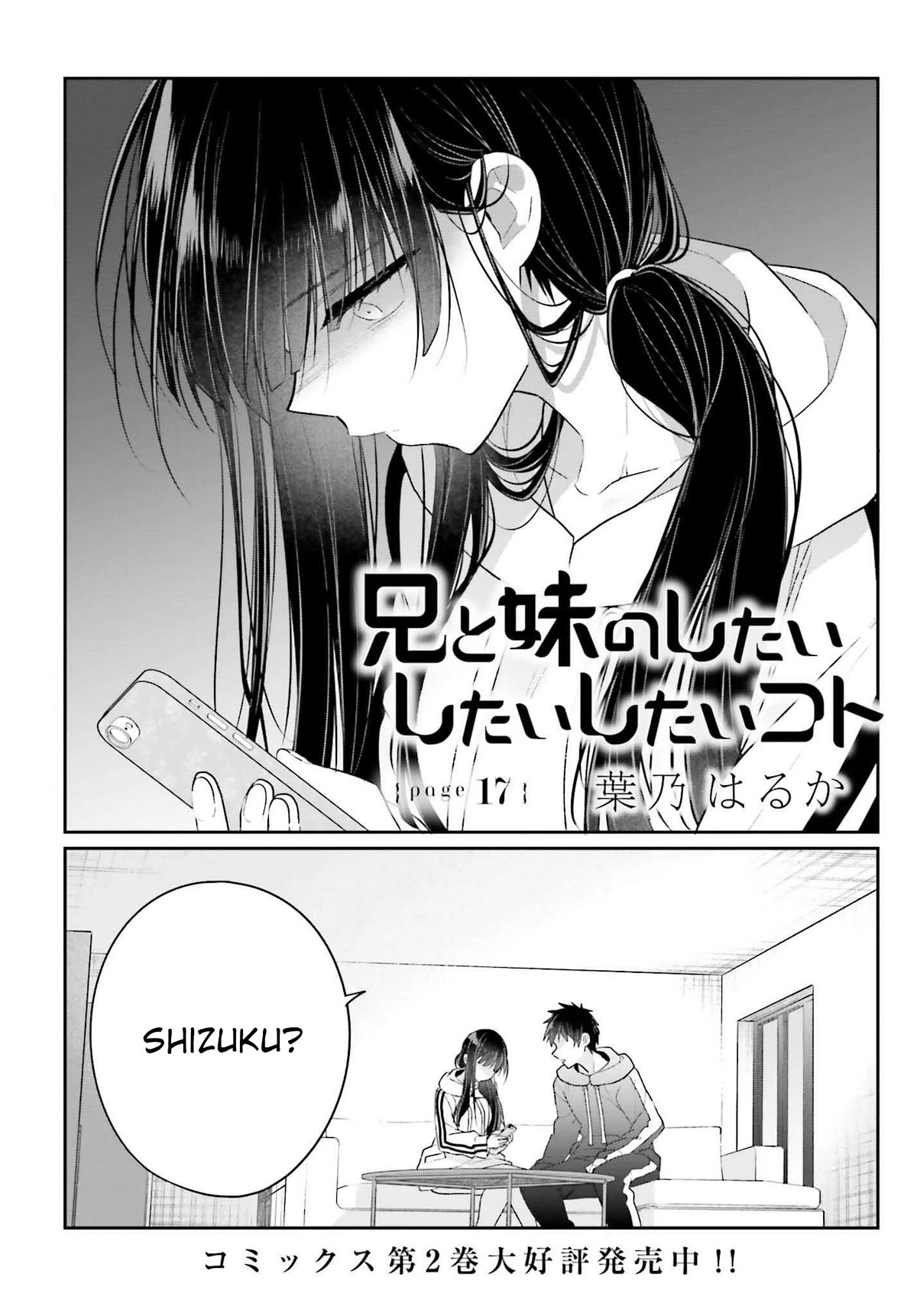 Ani To Imouto No Shitai Shitai Shitai Koto - Chapter 17: Page 17