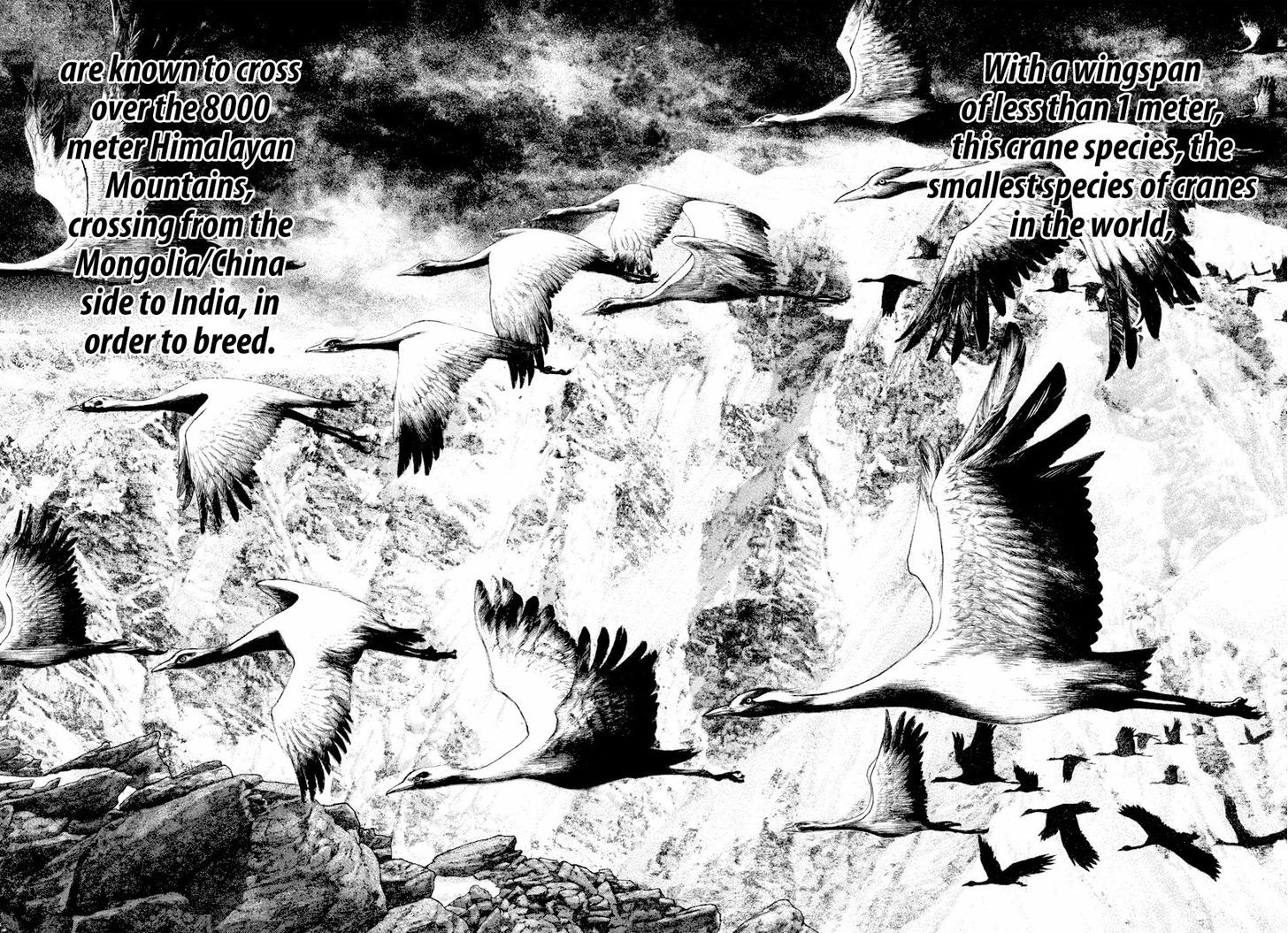 Kokou No Hito - Vol.17 Chapter 168 : Instinct