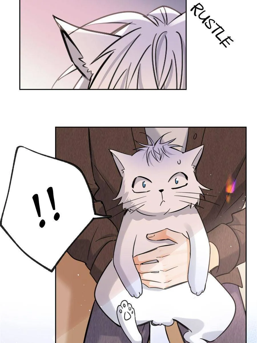 I Have To Work Hard As A Cat Today - Chapter 104