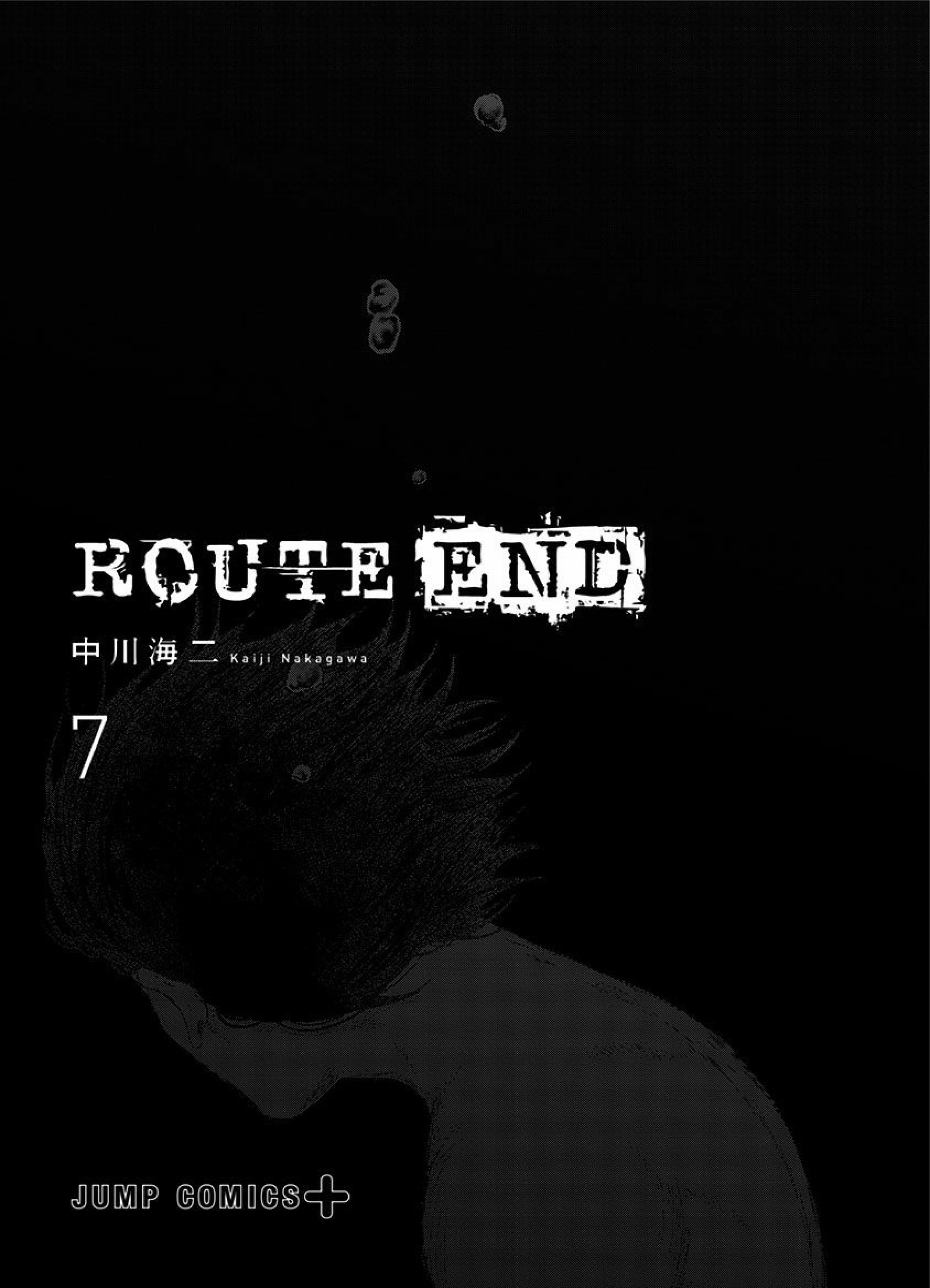 Route End - Vol.7 Chapter 42: Hair