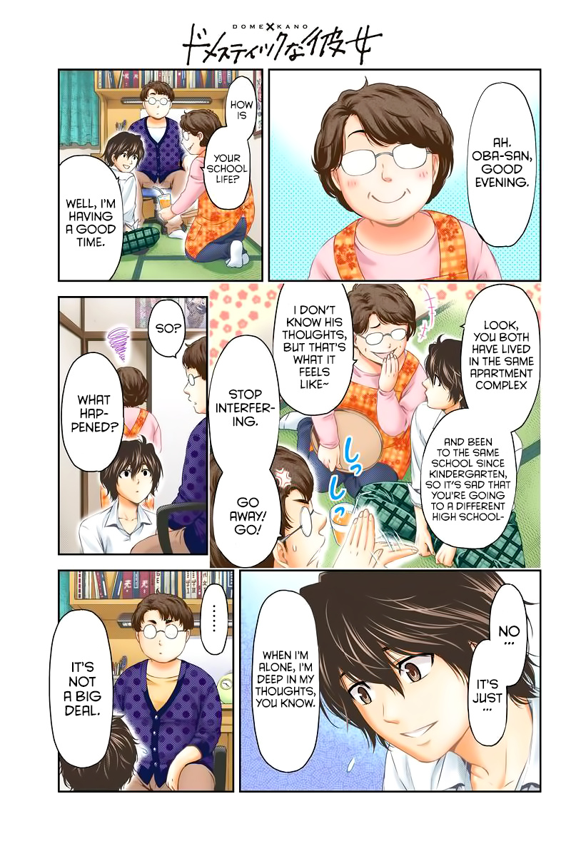 Domestic Na Kanojo - Chapter 248: A New Job