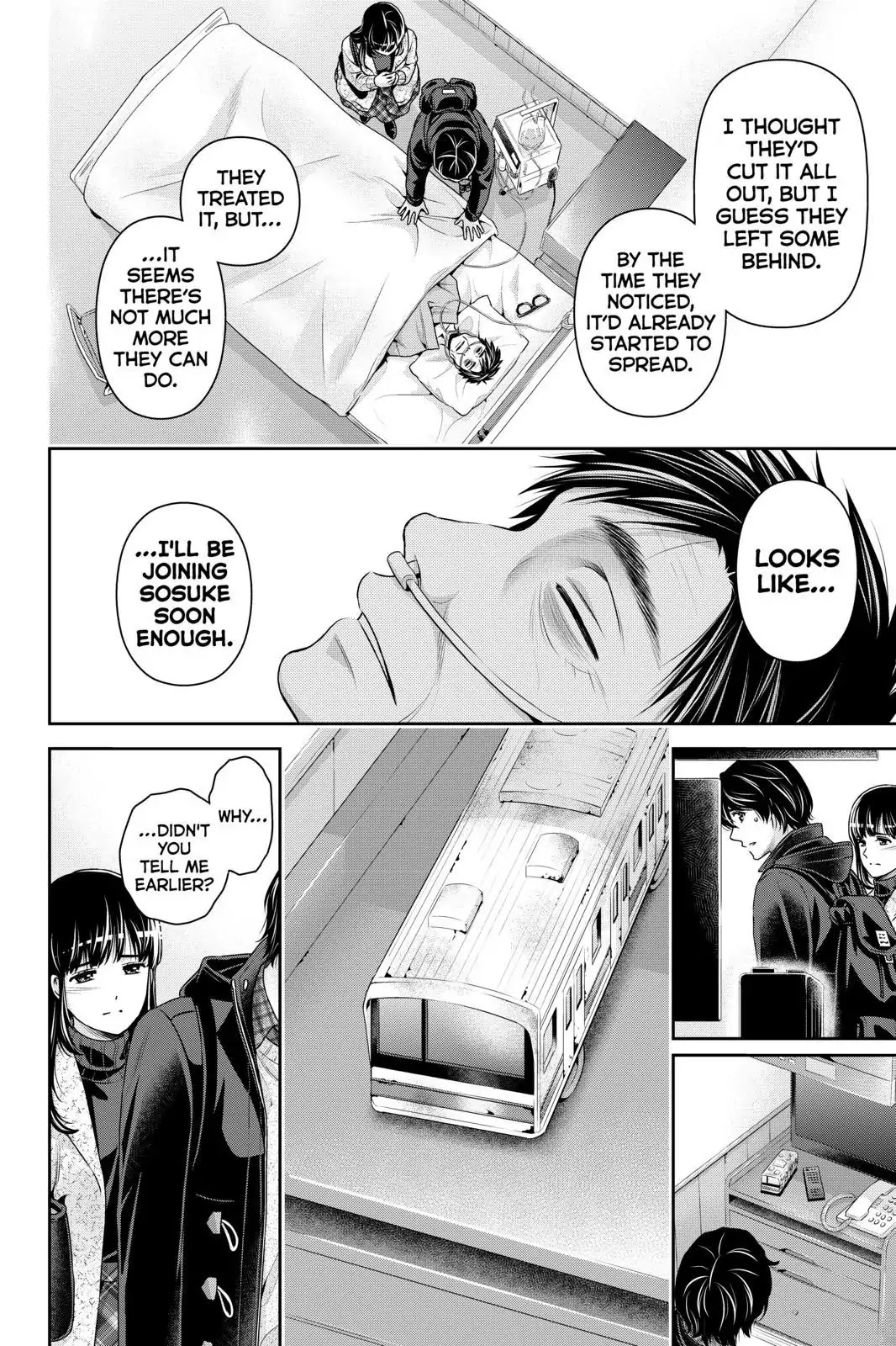 Domestic Na Kanojo - Chapter 254: The Final Dedication