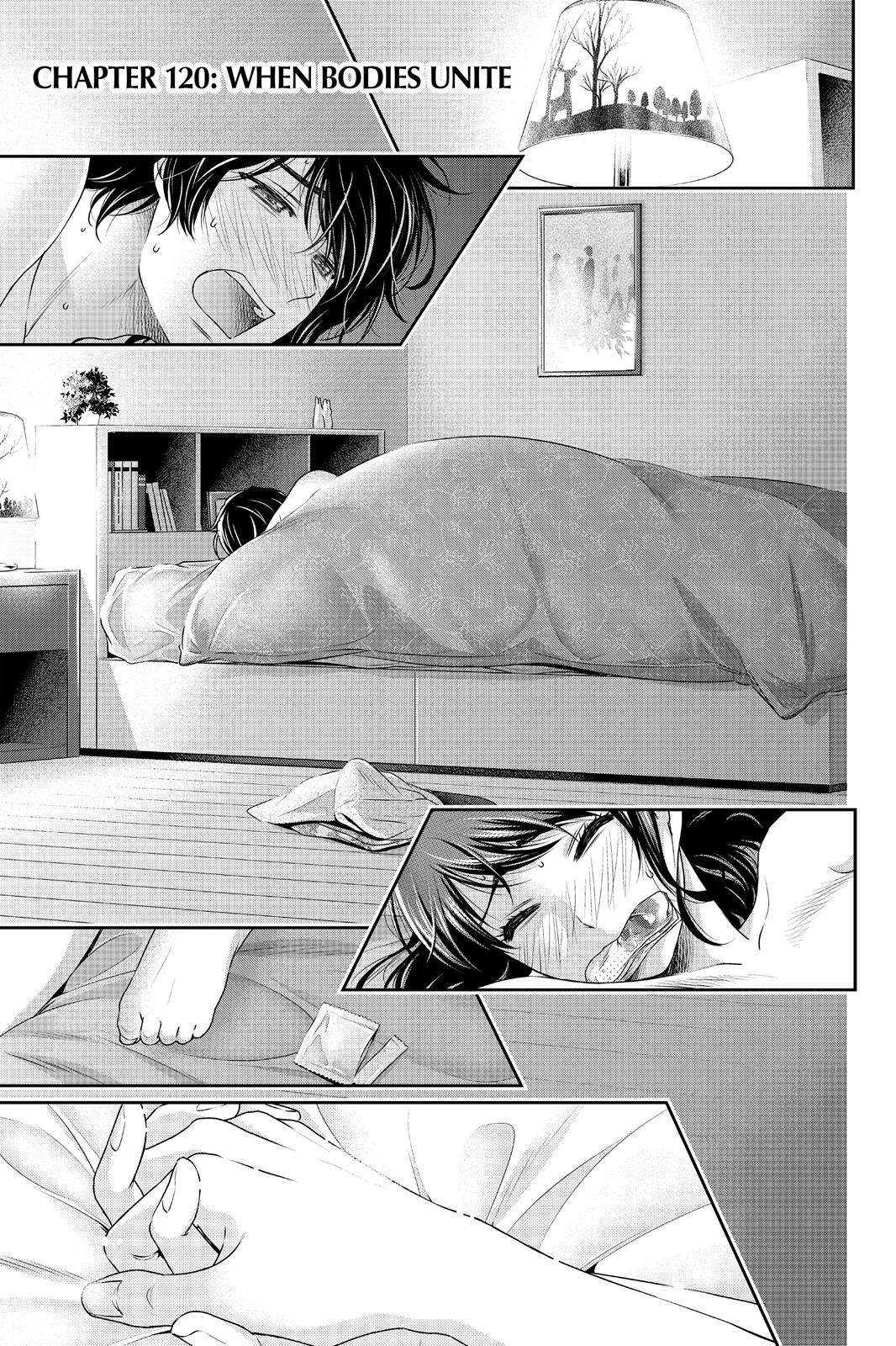 Domestic Na Kanojo - Vol.17 Chapter 120