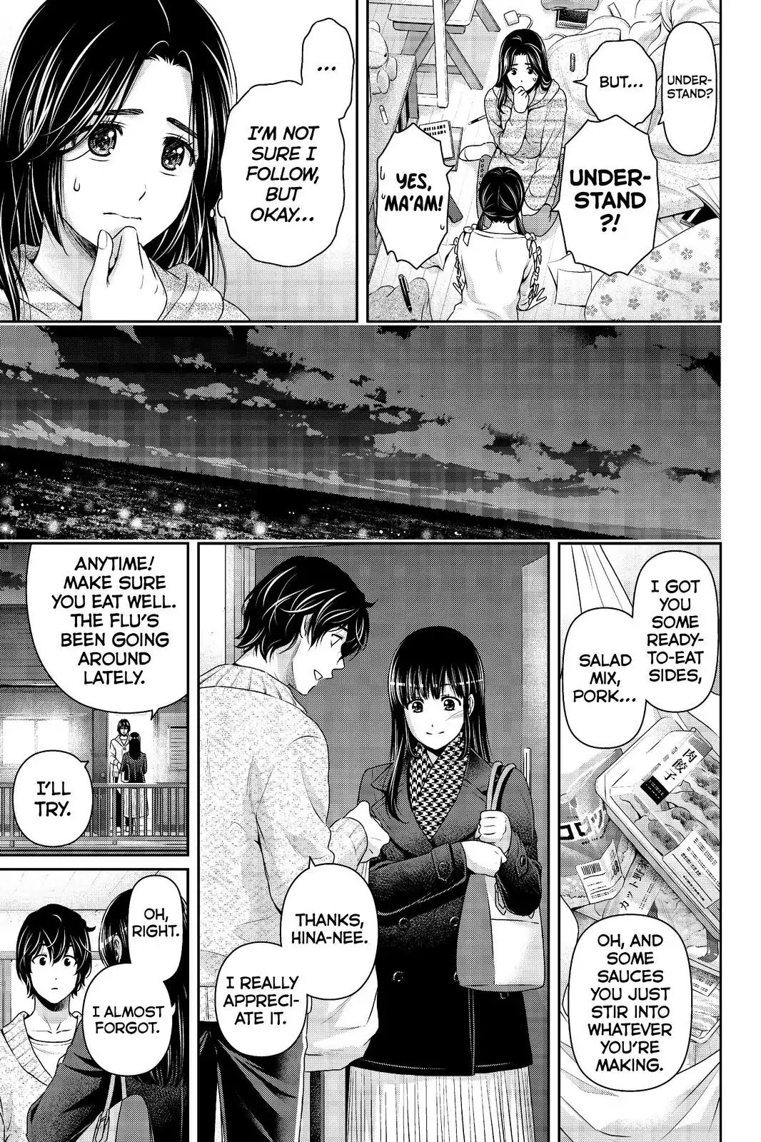 Domestic Na Kanojo - Chapter 208: Worth The Risk