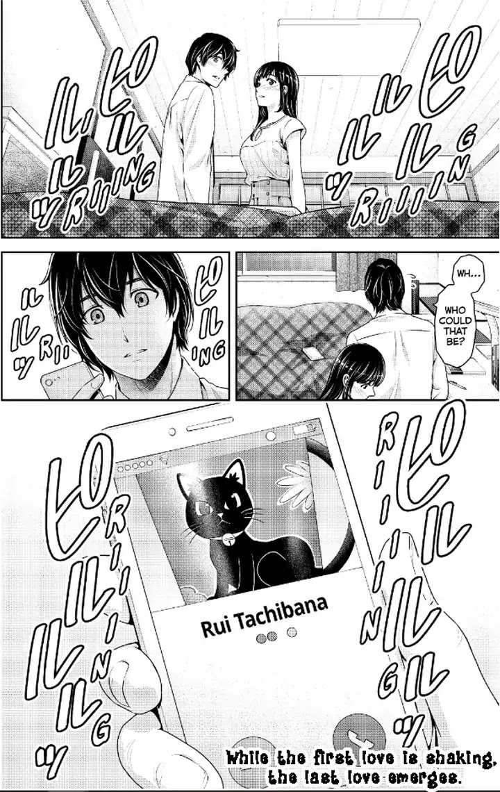 Domestic Na Kanojo - Chapter 237: At Least By His Side