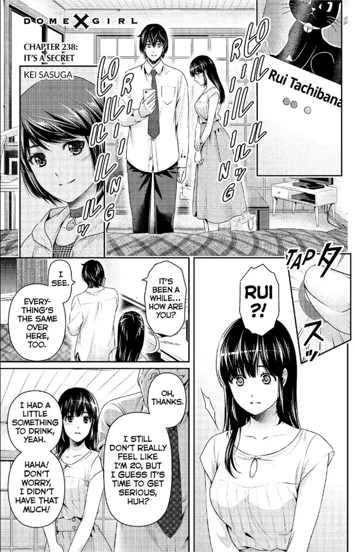 Domestic Na Kanojo - Chapter 238: It's A Secret