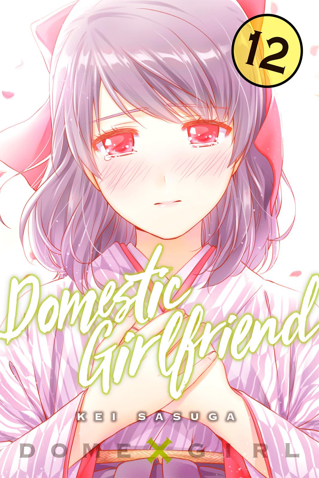 Domestic Na Kanojo - Vol.17 Chapter 105