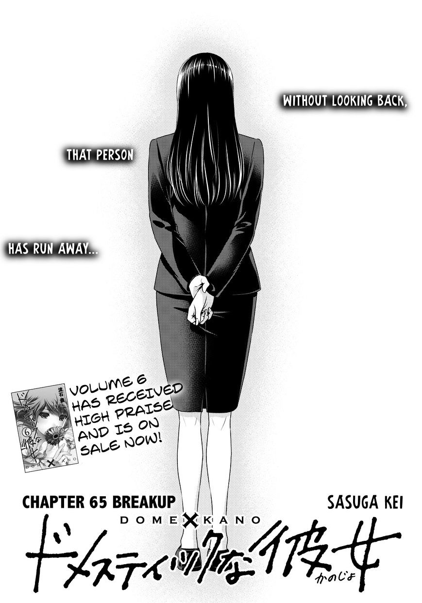 Domestic Na Kanojo - Chapter 65 : Breakup