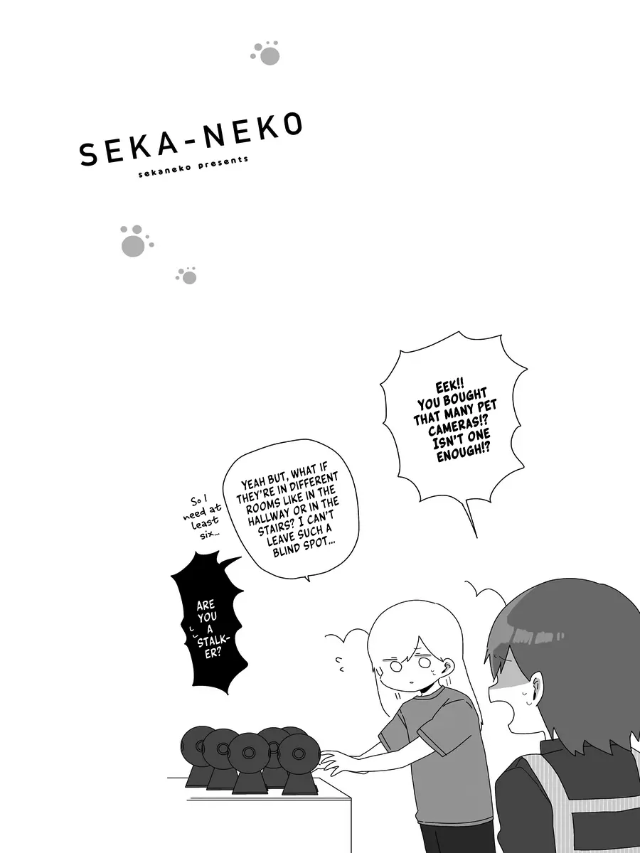 Sekai Wo Teki Ni Mawashitemo Neko Wo Aishiteru - Chapter 2