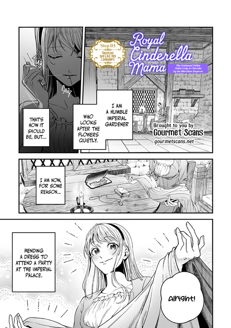 Royal Cinderella Mama - Tengai Kodoku No Botsuraku Reijou Wa Reitetsu Koutei Ni Dekiaisareru - Chapter 4