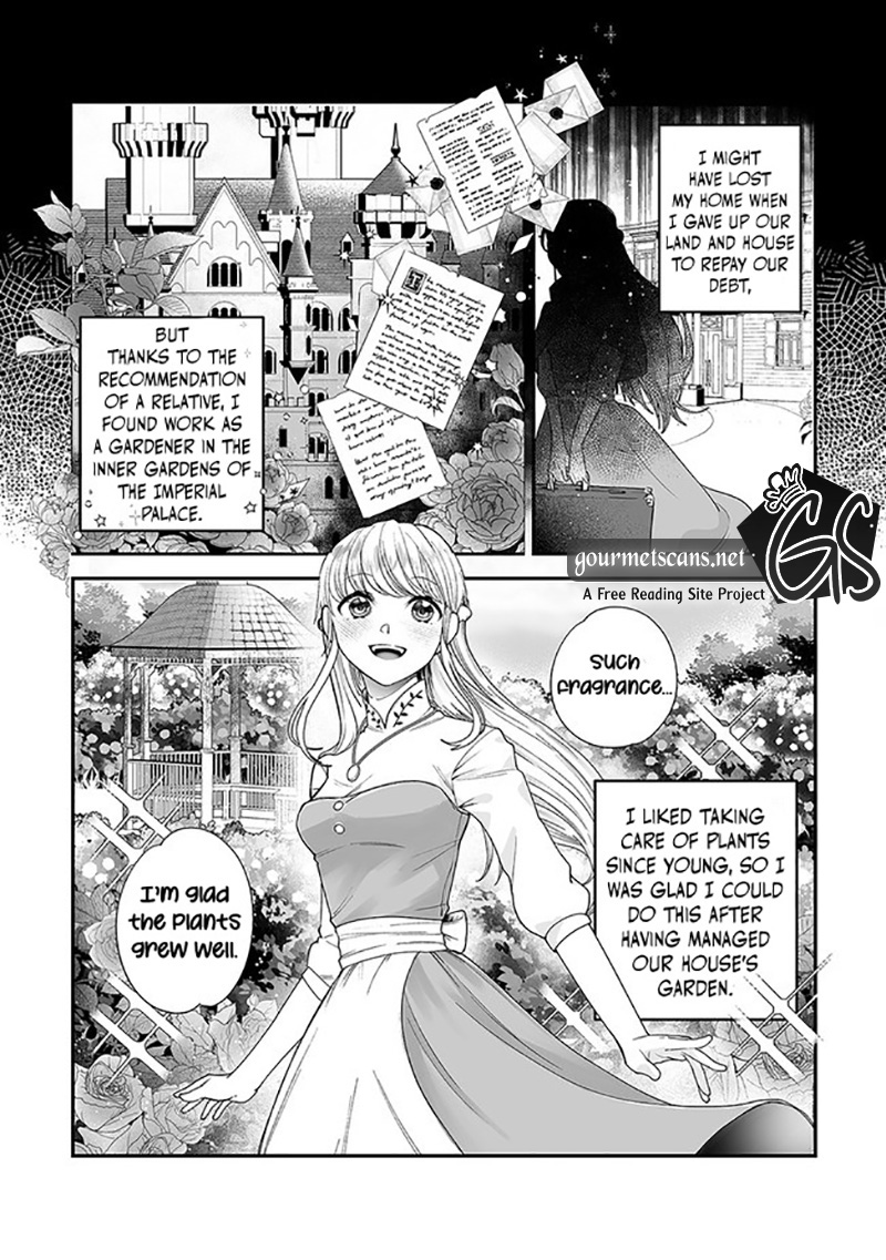 Royal Cinderella Mama - Tengai Kodoku No Botsuraku Reijou Wa Reitetsu Koutei Ni Dekiaisareru - Chapter 1