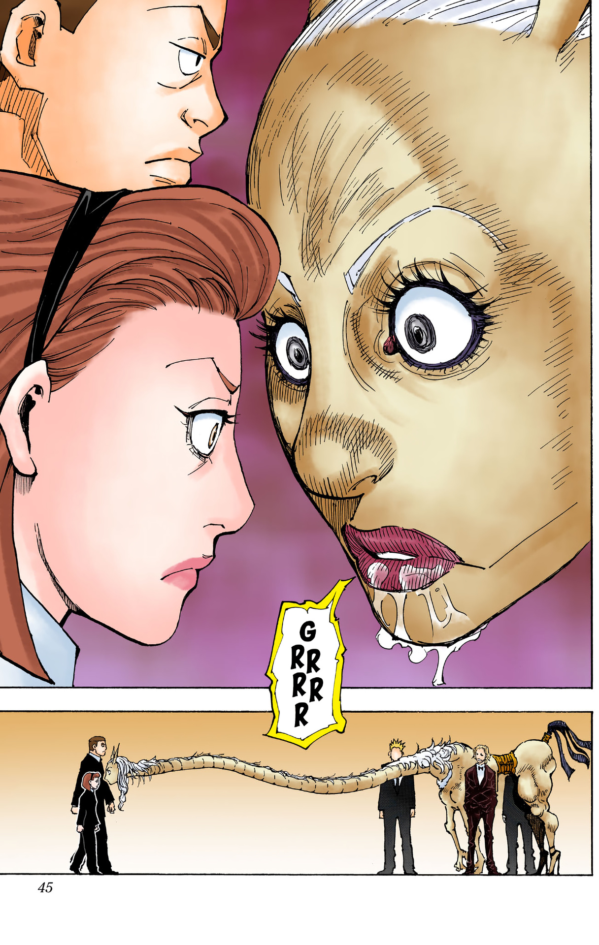 Hunter X Hunter Full Color - Vol.35 Chapter 362: Resolve