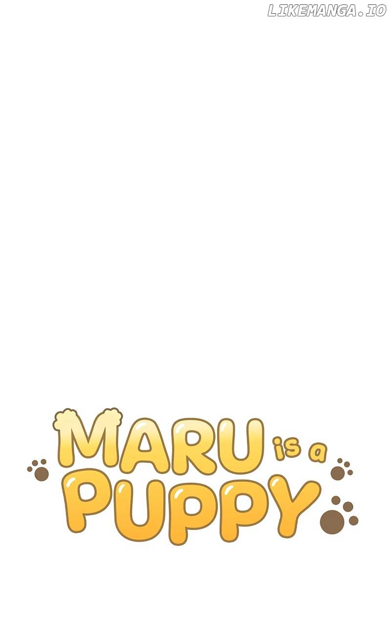 Maru Is A Puppy - Chapter 34