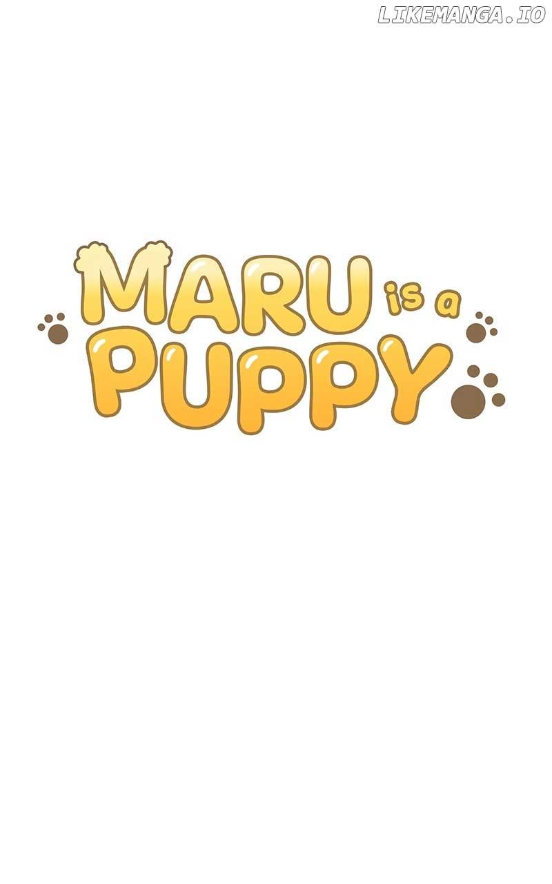 Maru Is A Puppy - Chapter 29