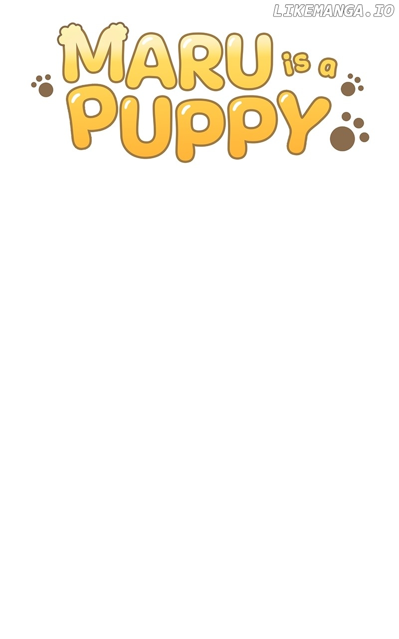 Maru Is A Puppy - Chapter 28