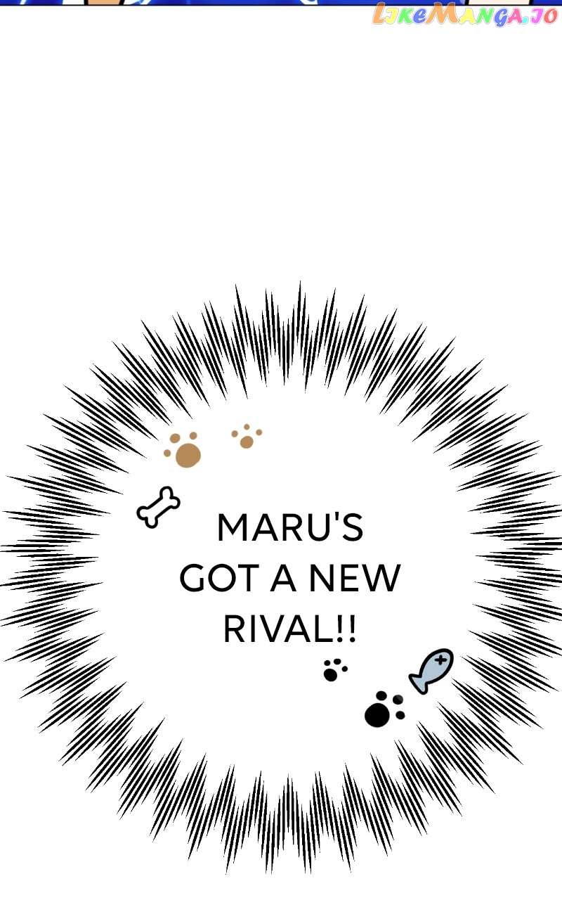 Maru Is A Puppy - Chapter 21