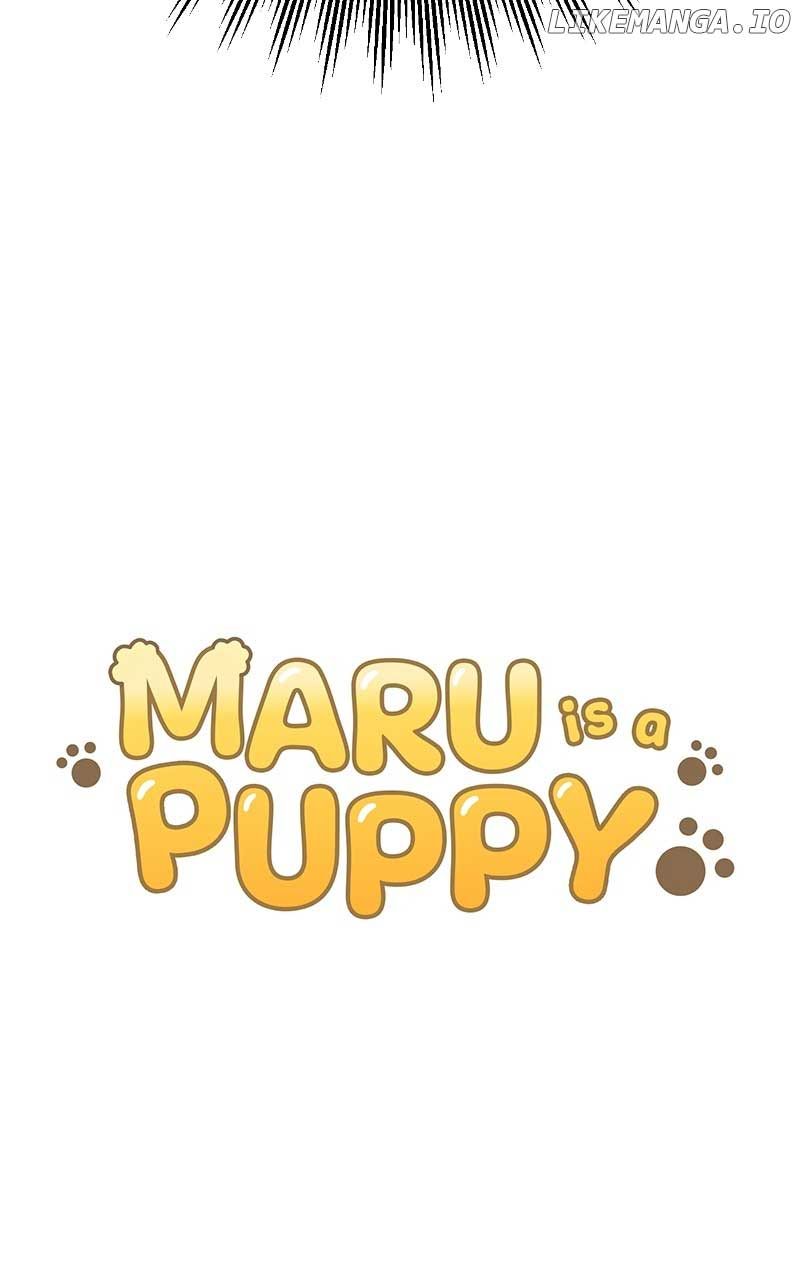 Maru Is A Puppy - Chapter 31