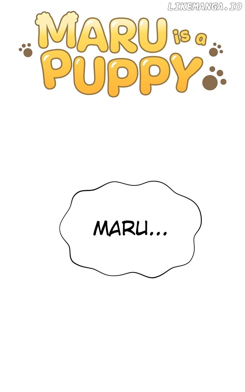 Maru Is A Puppy - Chapter 66