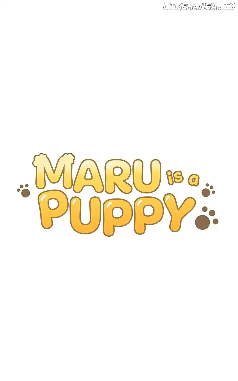 Maru Is A Puppy - Chapter 43