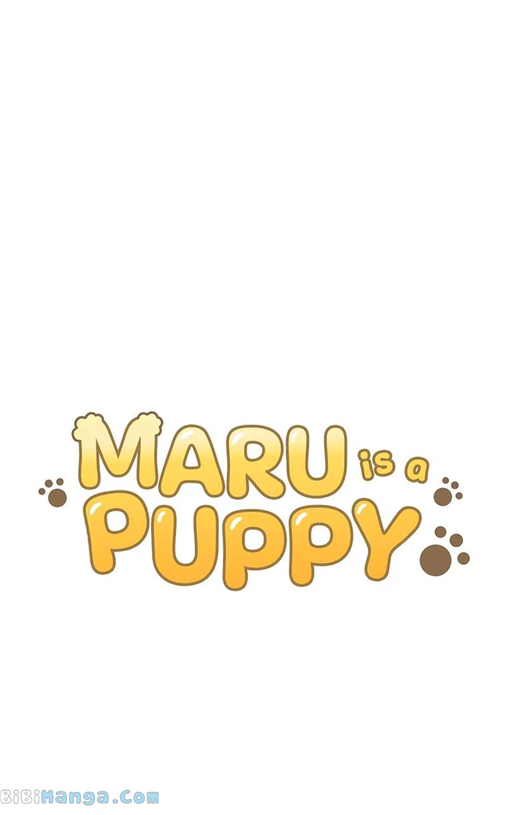 Maru Is A Puppy - Chapter 27