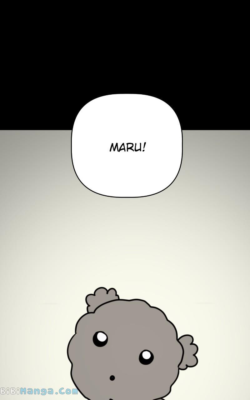 Maru Is A Puppy - Chapter 14