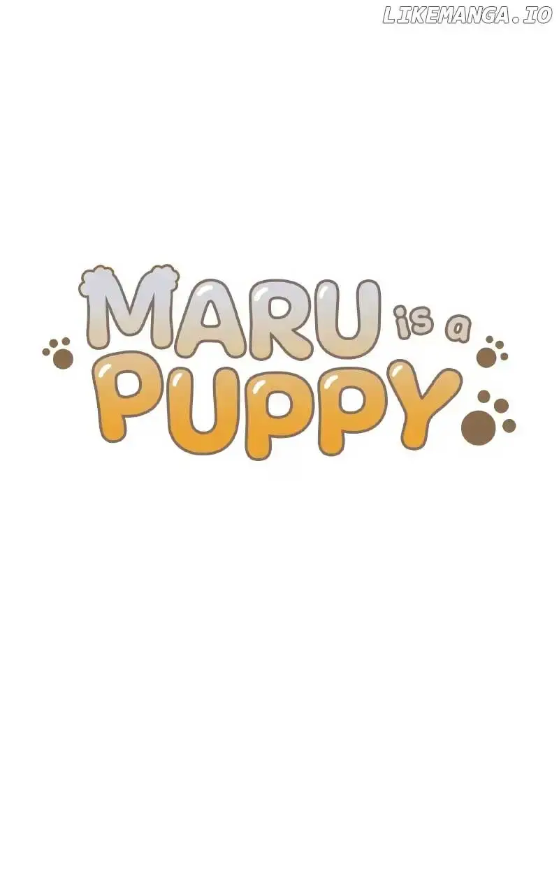 Maru Is A Puppy - Chapter 46