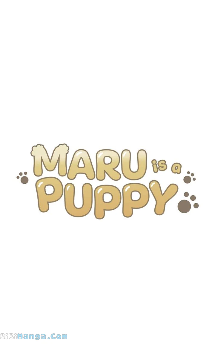 Maru Is A Puppy - Chapter 24