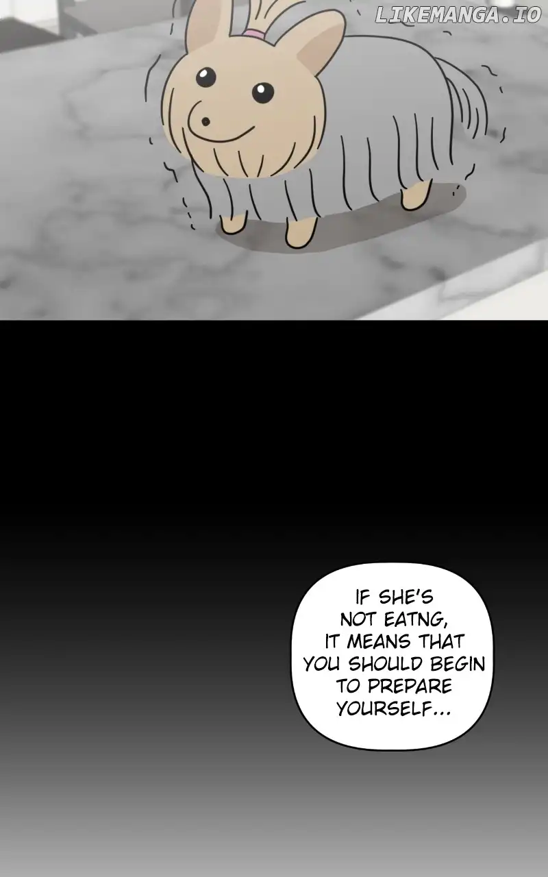 Maru Is A Puppy - Chapter 45