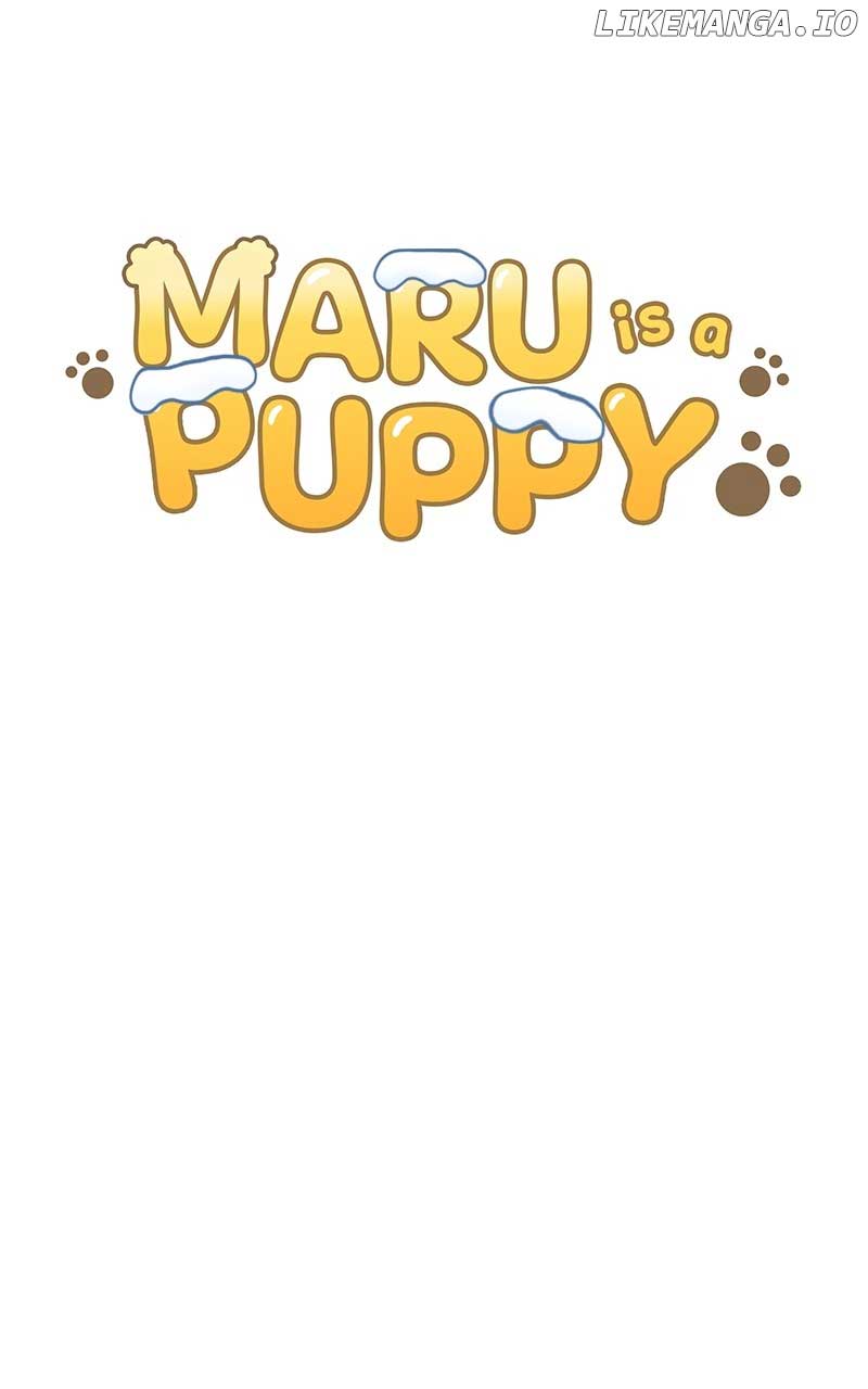 Maru Is A Puppy - Chapter 37