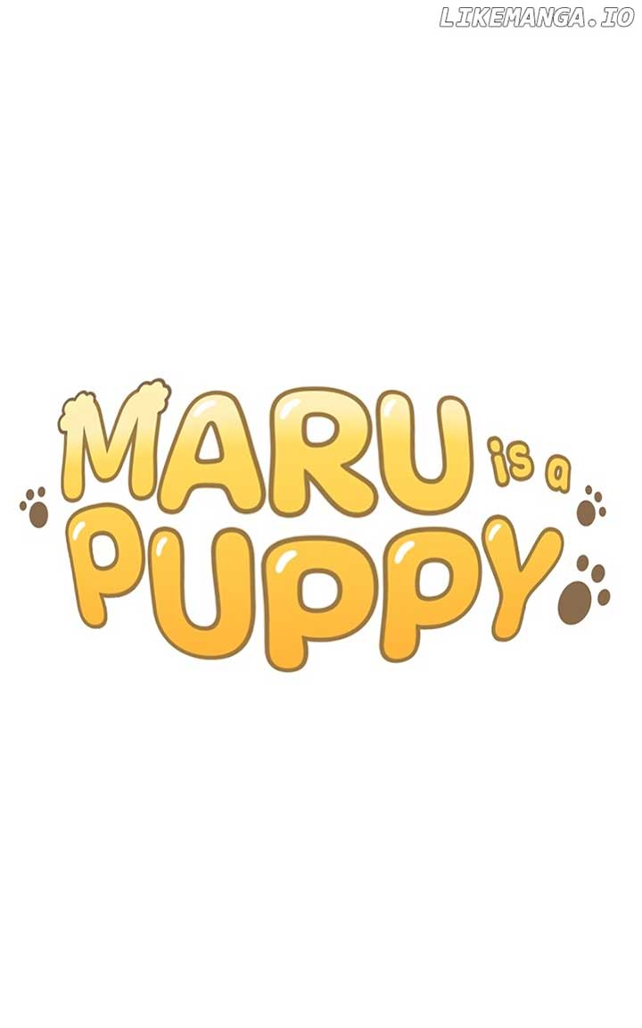 Maru Is A Puppy - Chapter 74