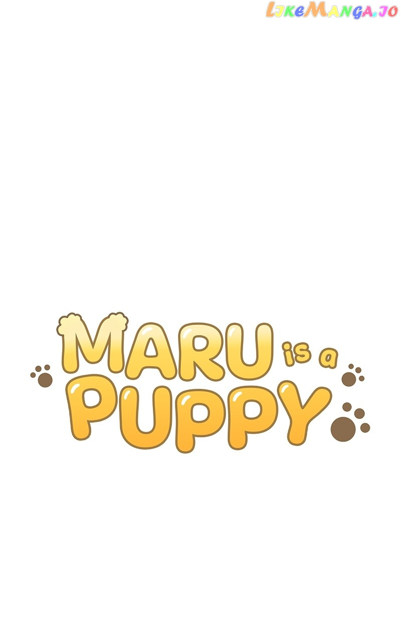 Maru Is A Puppy - Chapter 8