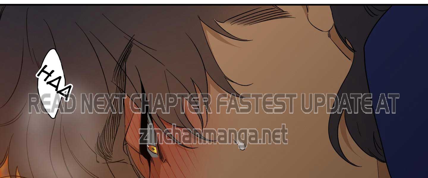 Eyes Clouded By The Tiger - Chapter 28