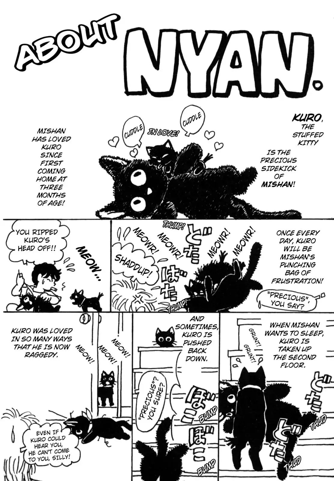 Wonder! (Akira Kawa) - Vol.3 Illustrated Essay: About Nyan