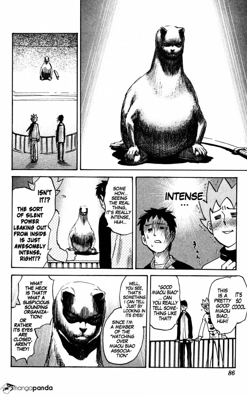 Pyu To Fuku! Jaguar - Chapter 137 : The Cat, The Falcon And Yuen