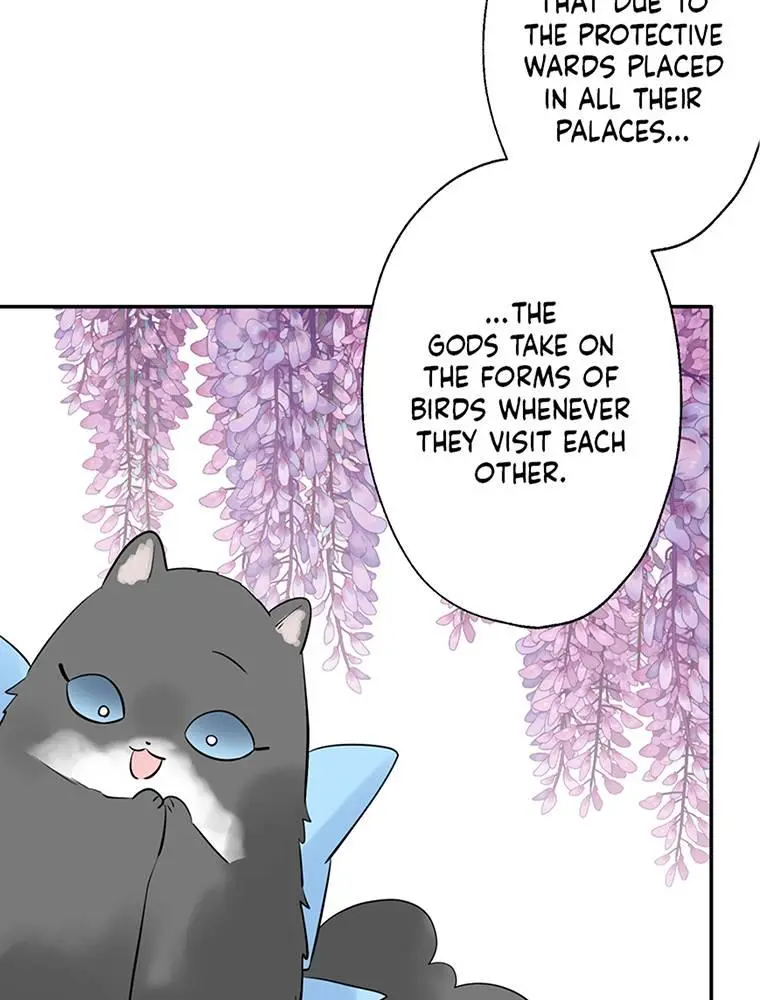 I Was A Sacrifice But Now I'm A Consort To A God?! ~All The Princesses Are Fluffy~ - Chapter 37