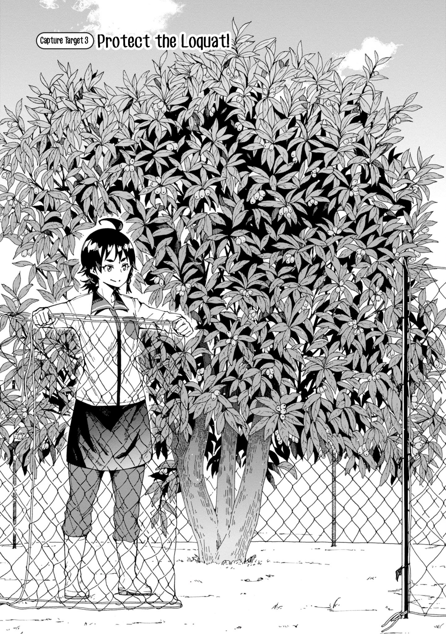 Wana Girl - Vol.1 Chapter 3: Protect The Loquat!